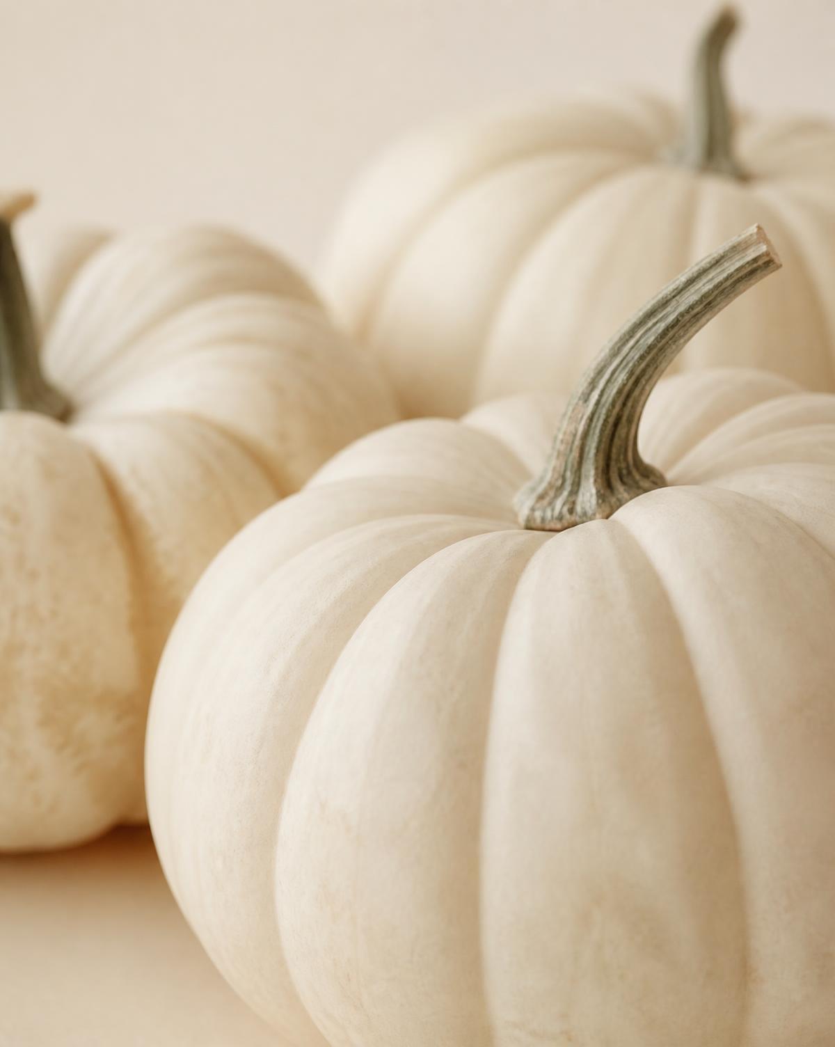 Detail of cream heirloom pumpkins